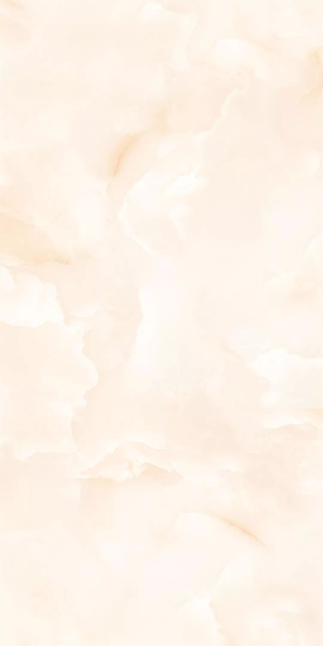 1555311899281427.jpg 4.jpg