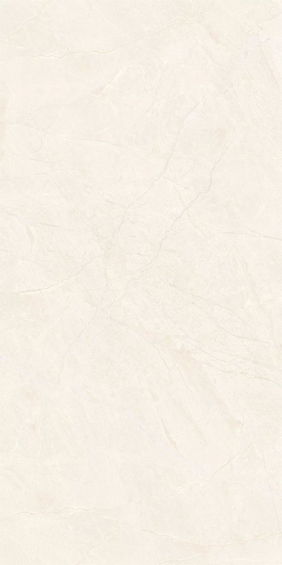 1555311927806734.jpg 6.jpg