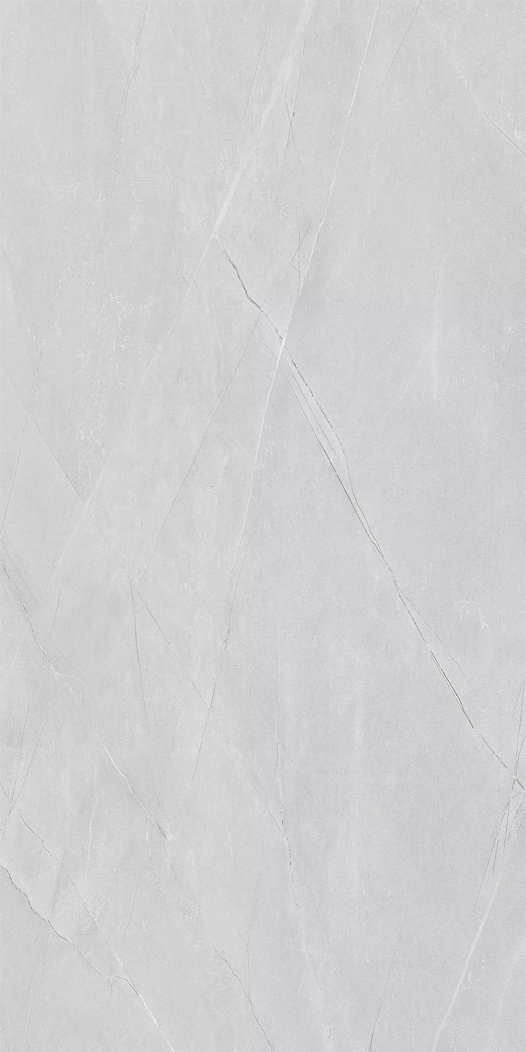 1555311998957290.jpg 9.jpg