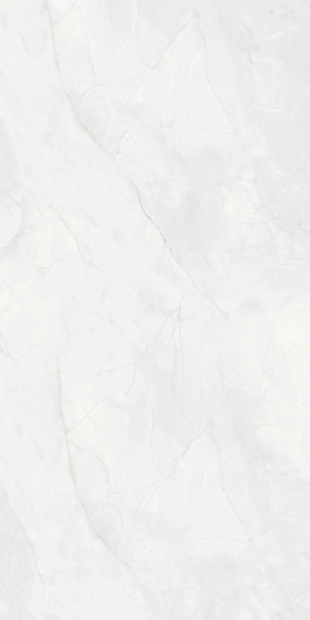 1555312056704030.jpg 12.jpg