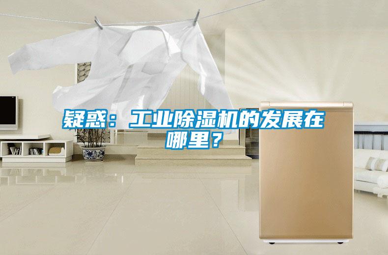 疑惑：工業(yè)除濕機的發(fā)展在哪里？