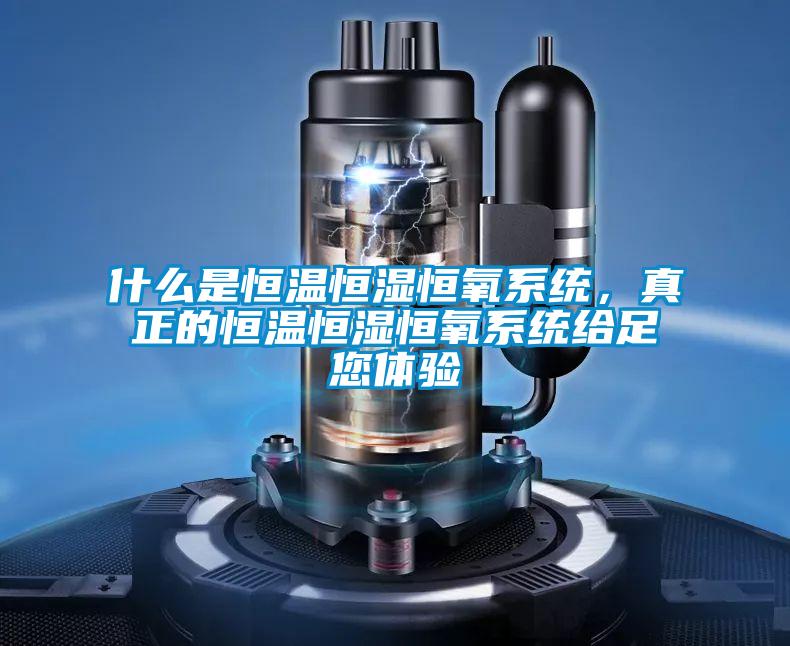 什么是恒溫恒濕恒氧系統(tǒng)，真正的恒溫恒濕恒氧系統(tǒng)給足您體驗