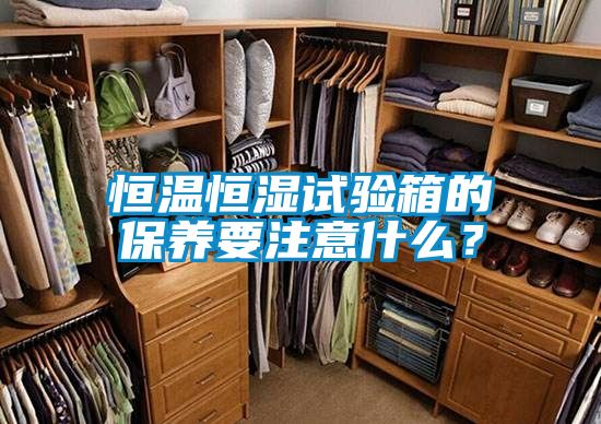 恒溫恒濕試驗(yàn)箱的保養(yǎng)要注意什么？